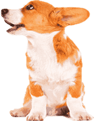 ddos服务器攻击手段